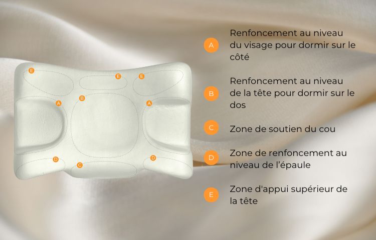 « Oreiller de beauté » comprend 5 zones de sommeil