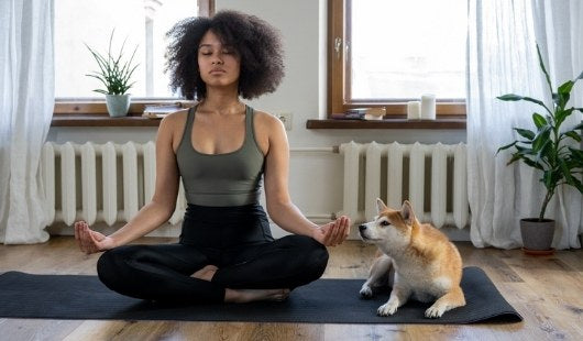 Lokah Samastah, le mantra d'une harmonie universelle